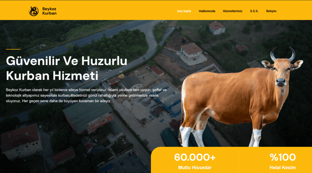 Sitemiz Güncelleniyor 🎉