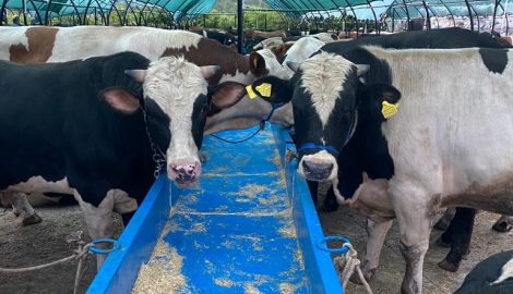 WhatsApp Görsel 2025-07-05 saat 08.51.13_61684c6d