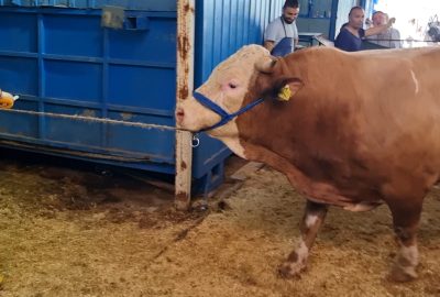 WhatsApp Görsel 2025-09-13 saat 21.51.11_9b8e7864